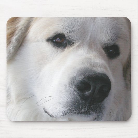 Grote Pyreneeën Mousepad Muismat (Voorkant)
