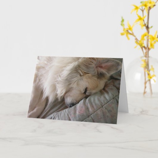 Grote Pyreneeën Notecard Kaart (Gele Bloem)