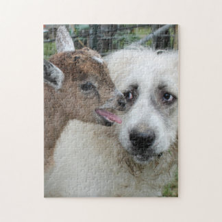 Grote Pyreneeën ontmoeten baby geit puzzel