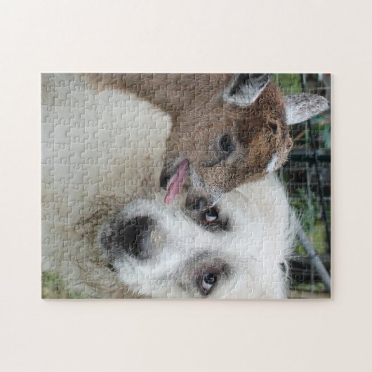 Grote Pyreneeën ontmoeten baby geit puzzel Legpuzzel (Horizontaal)