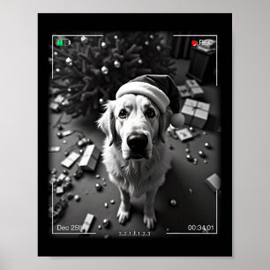 Grote Pyreneeën op camera vastgelegd Poster