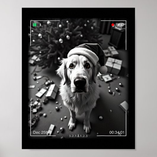 Grote Pyreneeën op camera vastgelegd Poster (Voorkant)