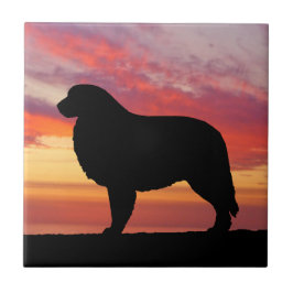 Grote Pyreneeën Persimmon Sunset Silhouette Tegeltje