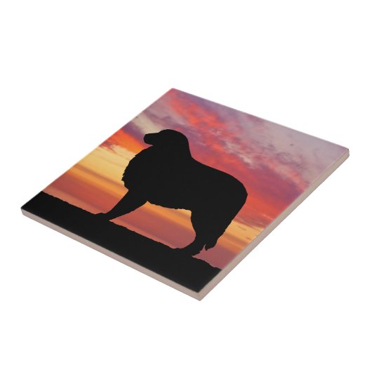 Grote Pyreneeën Persimmon Sunset Silhouette Tegeltje (Zijkant)