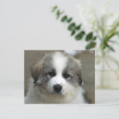 Grote pyreneeën Puppy Briefkaart (Staand voorkant)