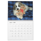 Grote Pyreneeën Puppy Calendar 2016 Kalender (Mar 2027)