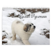 Grote pyreneeën — Puppy Calendar Kalender (Hoes)
