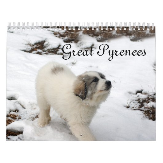 Grote pyreneeën — Puppy Calendar Kalender (Hoes)