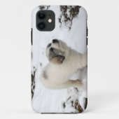 Grote pyreneeën Puppy Case-Mate iPhone Case (Achterkant)