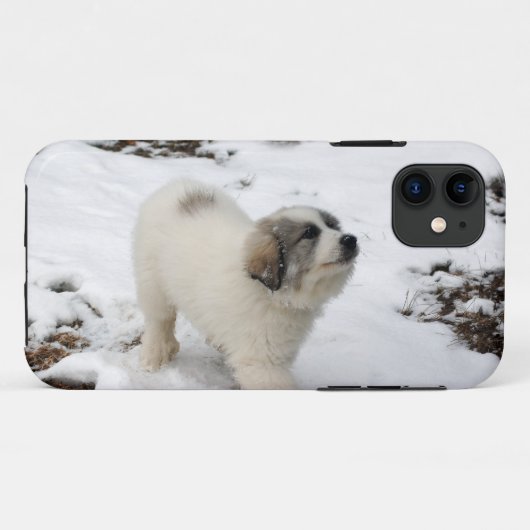 Grote pyreneeën Puppy Case-Mate iPhone Case (Achterkant (horizontaal))