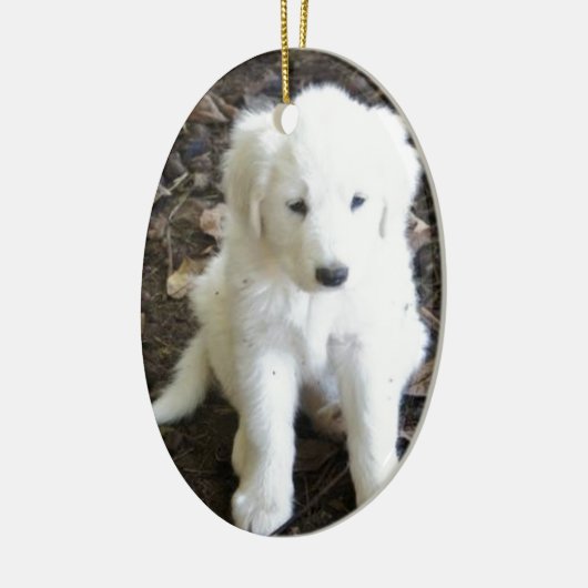 Grote Pyreneeën Puppy Roos Keramisch Ornament (Links)