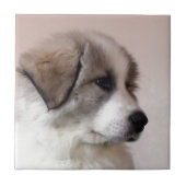 Grote pyreneeën Puppy Tegeltje (Voorkant)