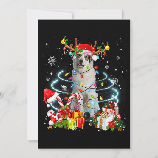 Grote Pyreneeën Reindeer Kerstbomen Lampjes Paja Kaart (Voorkant)