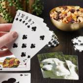 grote pyreneeën speelkaarten (Insitu)