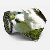 grote pyreneeën stropdas (Opgerold)