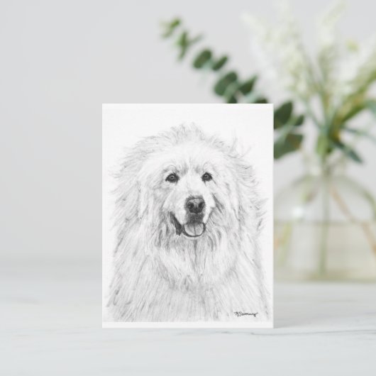 Grote Pyreneeën Tekening Briefkaart (Staand voorkant)