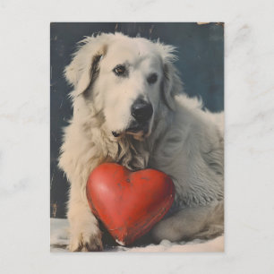 Grote Pyreneeën Valentijnsdag Briefkaart