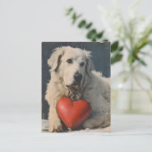 Grote Pyreneeën Valentijnsdag  Briefkaart (Staand voorkant)