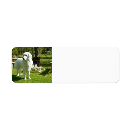 grote pyreneeën vol 2 etiket (Voorkant)