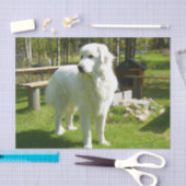 grote pyreneeën vol 2 tissuepapier (Craft)