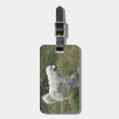 grote pyreneeën vol bagagelabel (Voorkant verticaal)