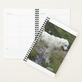 grote pyreneeën vol planner (Display)