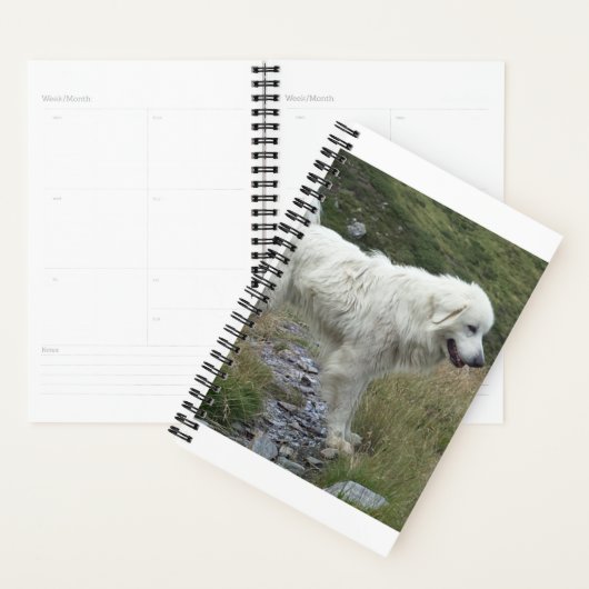 grote pyreneeën vol planner (Display)