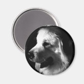 Grote Pyreneeën Zwart-wit Fotoproducten Magneet (Voorkant / Achterkant)