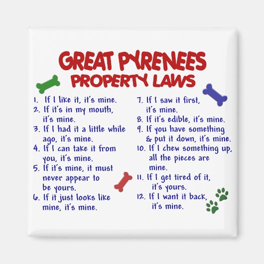 GROTE PYRENEES-WETGEVINGEN 2 MAGNEET (Voorkant)