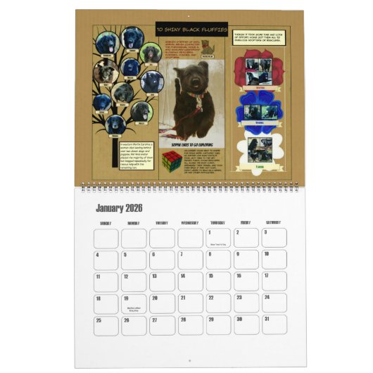 Grote reddingstijfheid Agenda 2016 Kalender (Jan 2026)