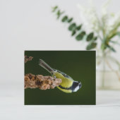 Grote reis in het najaar briefkaart (Staand voorkant)