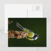 Grote reis in het najaar briefkaart (Voorkant / Achterkant)