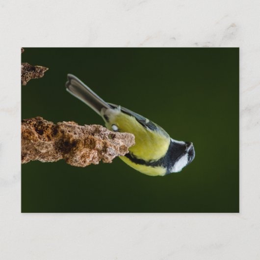 Grote reis in het najaar briefkaart (Voorkant)