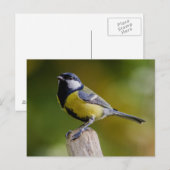 Grote reis in het najaar briefkaart (Voorkant / Achterkant)