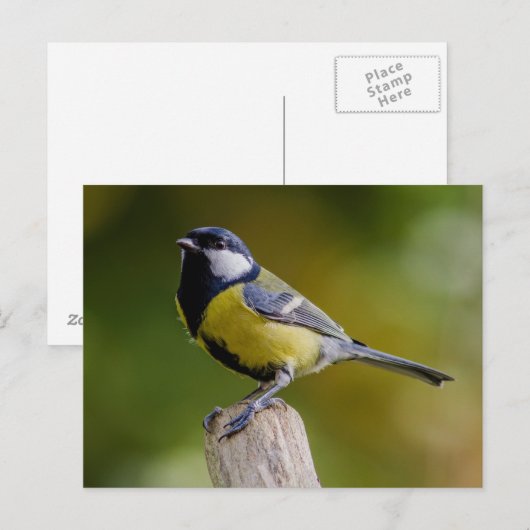 Grote reis in het najaar briefkaart (Voorkant / Achterkant)