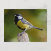 Grote reis in het najaar briefkaart (Voorkant)