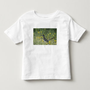 Grote Renkoekoek, Geococcyx californianus, Kinder Shirts
