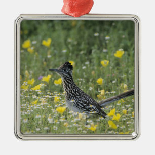 Grote Renkuif, Geococcyx californianus, Metalen Ornament