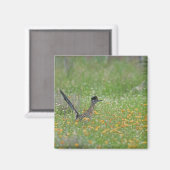 Grote Renkuif, Geococcyx Magneet (Voorkant / Achterkant)