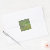 Grote Renkuif, Geococcyx Vierkante Sticker (Envelop)