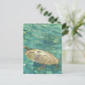 grote rivierschildpad briefkaart (Staand voorkant)