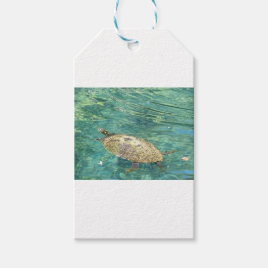 grote rivierschildpad cadeaulabel (Voorkant)