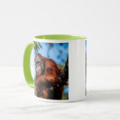 Grote rode aap geperst in een tropische boom. mok (Voorkant links)