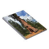 Grote Rode Boom, La Pine, OR Notitieboek (Rechterzijde)