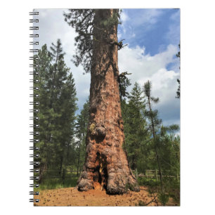 Grote Rode Boom, La Pine, OR Notitieboek