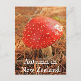 Grote rode broodstool, herfst in Nieuw-Zeeland Briefkaart