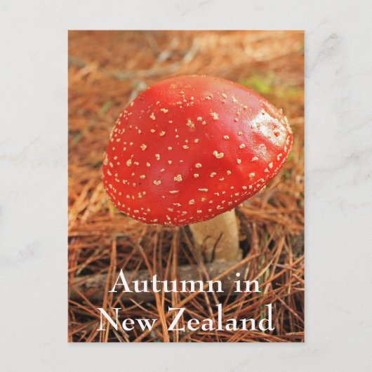 Grote rode broodstool, herfst in Nieuw-Zeeland Briefkaart (Voorkant)