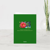 Grote rode dahlia met geel 'Button' centrum Kaart (Achterkant)