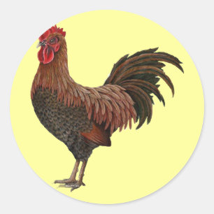 Grote rode haan ronde sticker