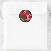 Grote Rode Hibiscus (Hibiscus coccineus) stickers (Tas)